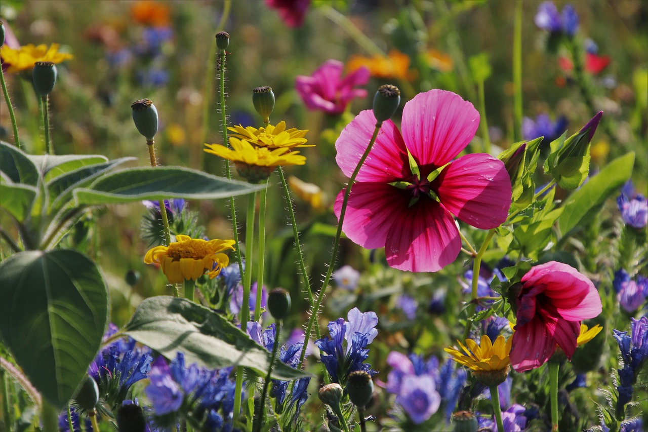 Why Everyone Should Support Eco-Friendly Local Businesses